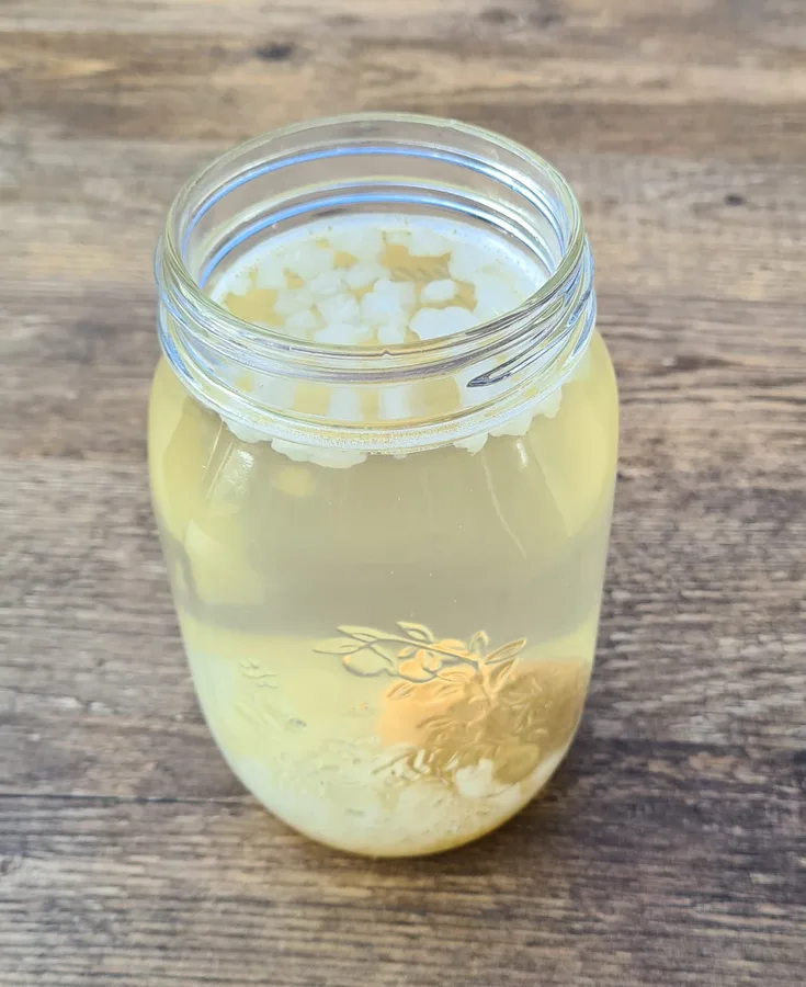 Waterkefir