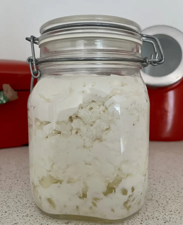Zelf melkkefir maken